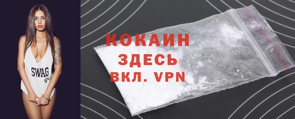 ГАЛЛЮЦИНОГЕННЫЕ ГРИБЫ Абаза