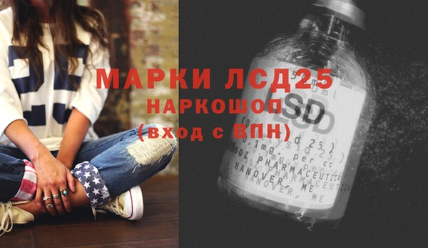 ГАЛЛЮЦИНОГЕННЫЕ ГРИБЫ Абаза